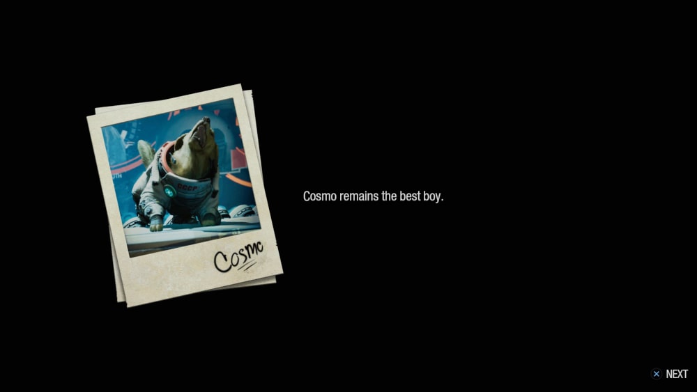 Zdjęcie Cosmo zrobione Polaroidem