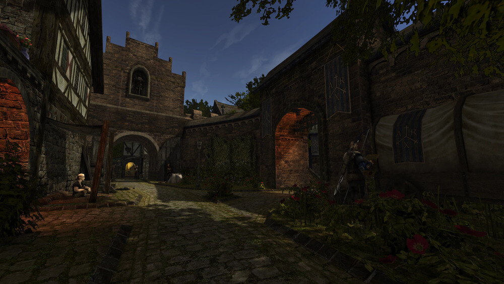 Screen z gry przedstawiajacy bramę i kawałek zamku