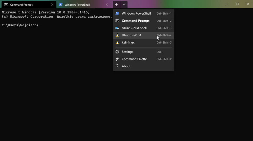 Windows Terminal - GUI