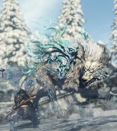 Wojownicy w walce z Kemono – śnieżnym wilkiem