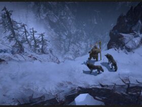 Gracz stojący na wzgórzu w zimowym otoczeniu obok 2 wilków w Diablo 4