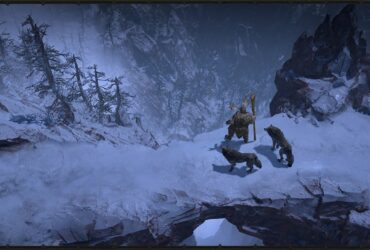 Gracz stojący na wzgórzu w zimowym otoczeniu obok 2 wilków w Diablo 4