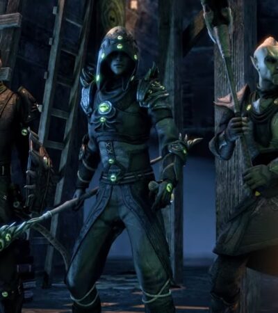 Drużyna z The Elder Scrolls Online