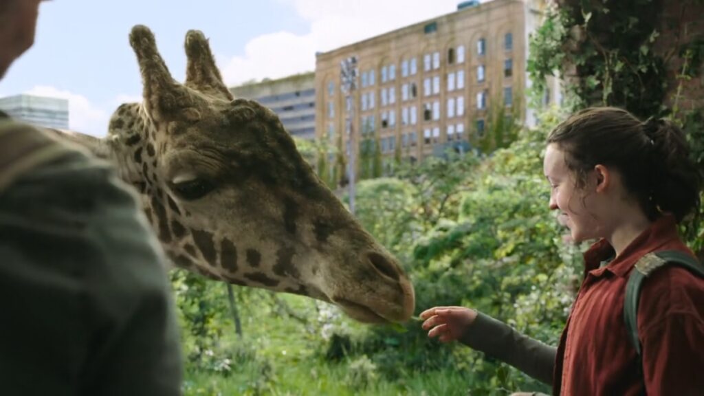 Żyrafa w serialu The Last of Us
