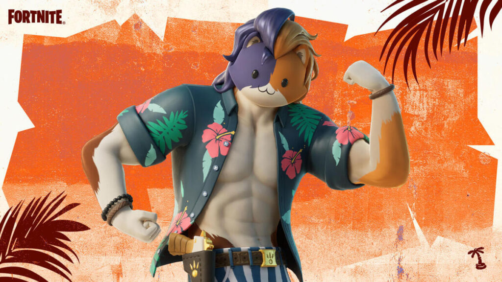 Letni skin dla postaci kota z Fortnite