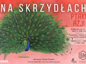 Na Skrzydłach, Ptaki Azji, dodruk wkrótce trafi do sklepów