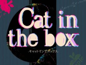 Cat in the Box