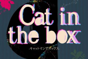 Cat in the Box