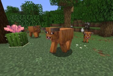 minecraft-1.21.5-nowe-warianty-mobow-wiosenny-drop
